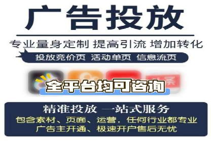 网络推广竞价策略案例分析